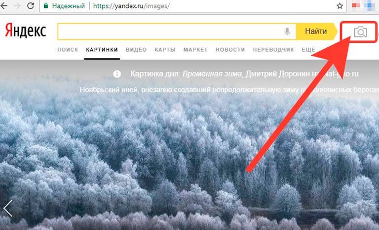 Искать фото в инете