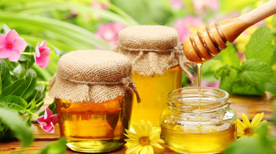 5 шаблонов для сайта по продаже мёда