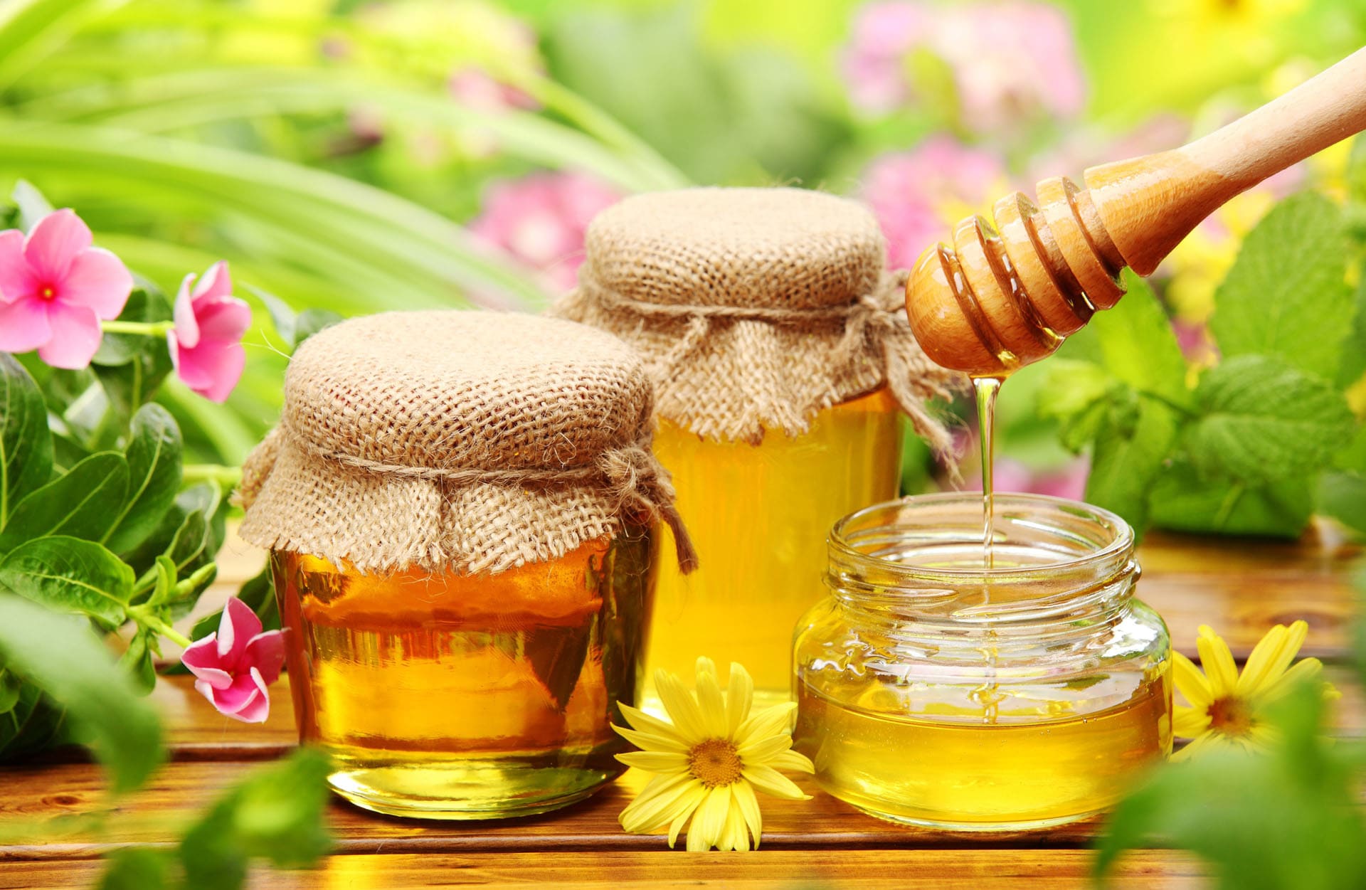 5 шаблонов для сайта по продаже мёда