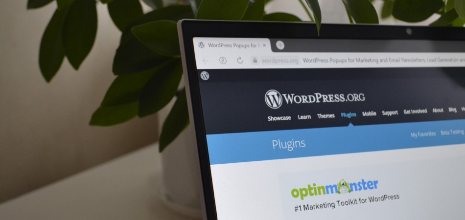 Ошибка в плагине WordPress позволяла подставлять JavaScript-код на сайты